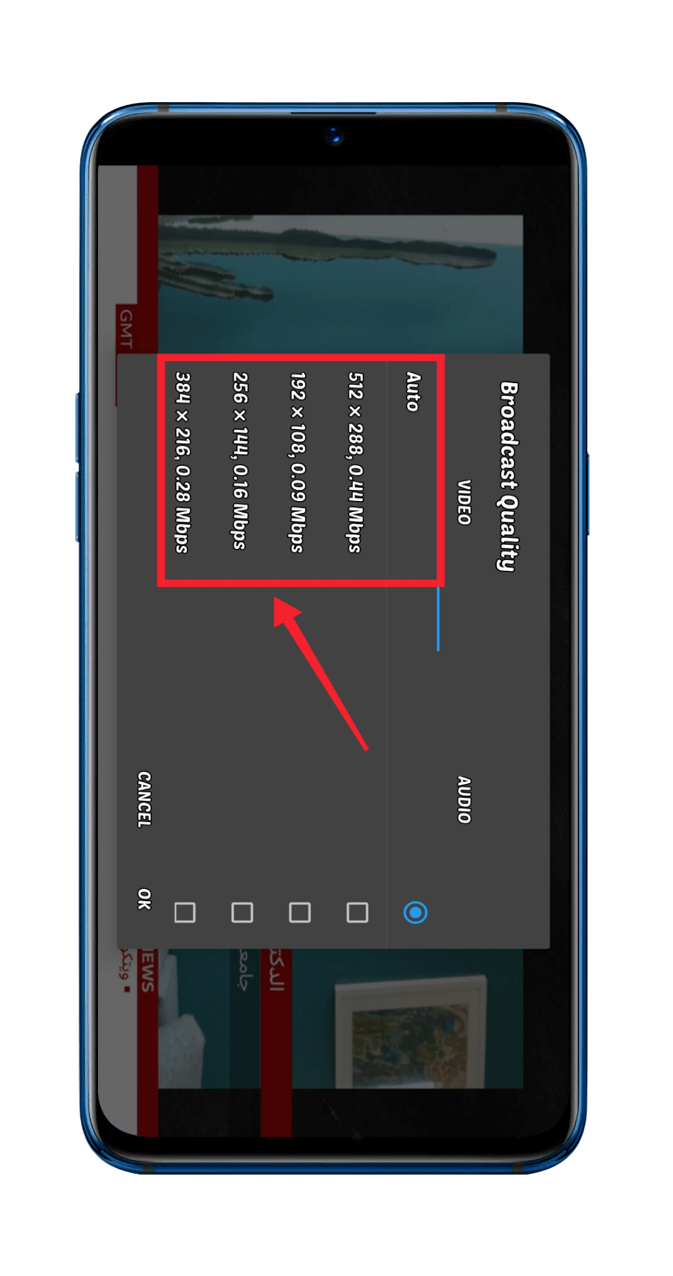 Multiple Video Formats