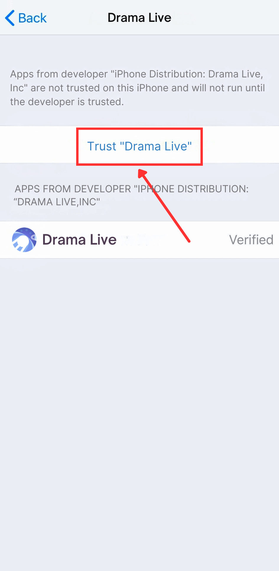 Trust Developer Certificate on iPhone