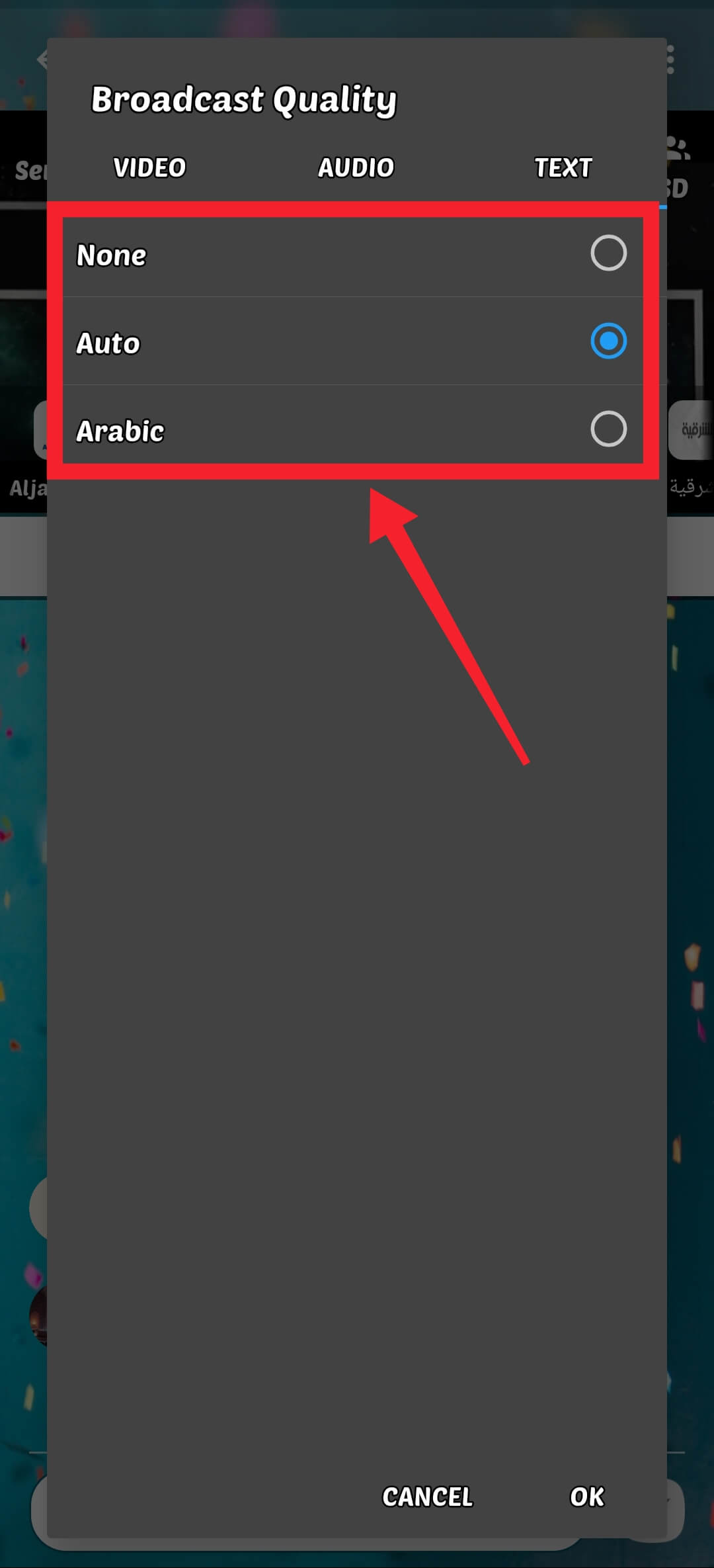 Set Subtitle Preferences